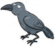 Vector Illustration Cartoon Crow Wall Decal