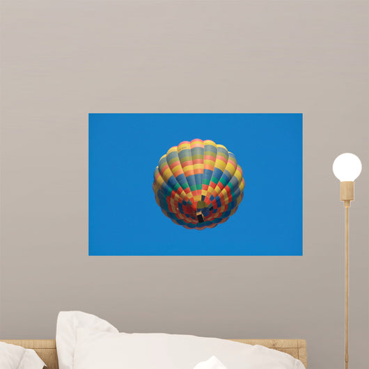 Ballooning Wall Decal