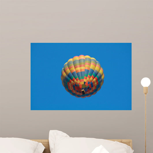 Ballooning Wall Decal