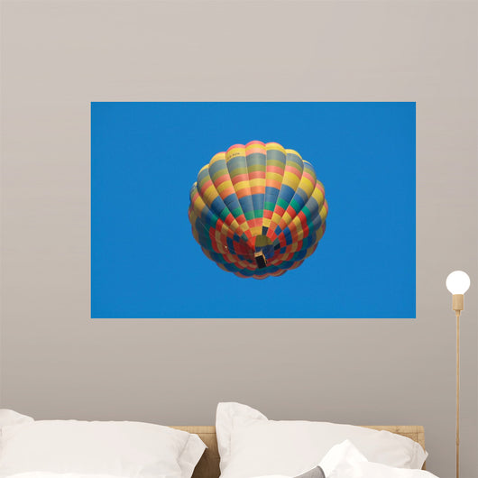 Ballooning Wall Decal