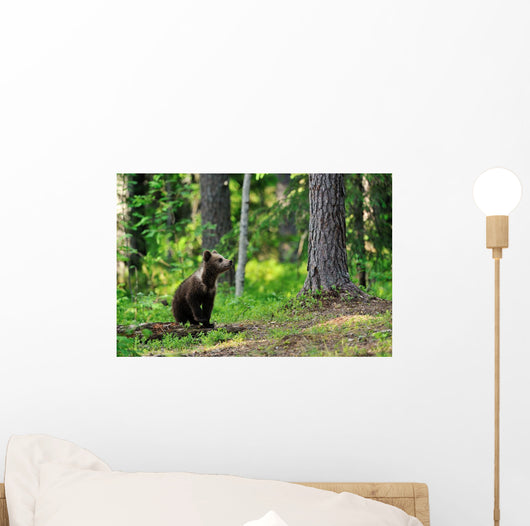 Brown Bear Cub Forest Wall Decal