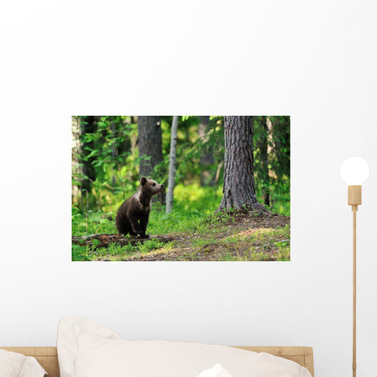Brown Bear Cub Forest Wall Decal