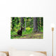 Brown Bear Cub Forest Wall Decal