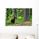 Brown Bear Cub Forest Wall Decal