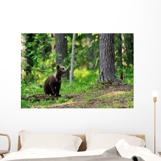 Brown Bear Cub Forest Wall Decal