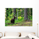 Brown Bear Cub Forest Wall Decal