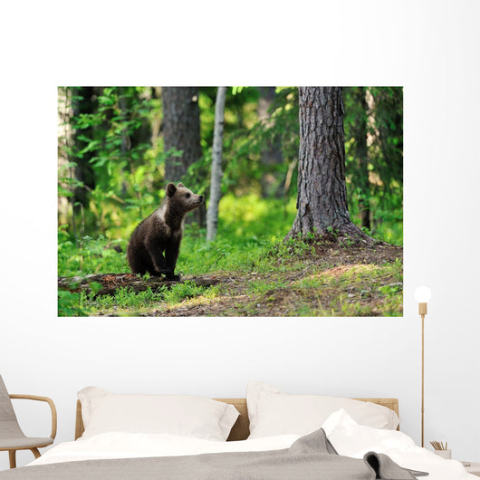 Brown Bear Cub Forest Wall Decal