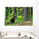 Brown Bear Cub Forest Wall Decal