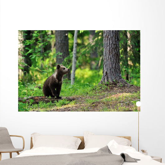 Brown Bear Cub Forest Wall Decal