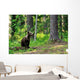 Brown Bear Cub Forest Wall Decal