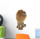 Male Lion Wall Decal Design 1