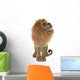 Male Lion Wall Decal Design 1