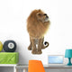 Male Lion Wall Decal Design 1