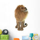 Male Lion Wall Decal Design 1