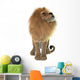 Male Lion Wall Decal Design 1