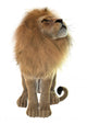 Male Lion Wall Decal Design 1