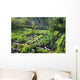 Bewasserung im Schrebergarten Wall Decal