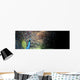 Peacock Wall Decal Panoramic Wall Decal