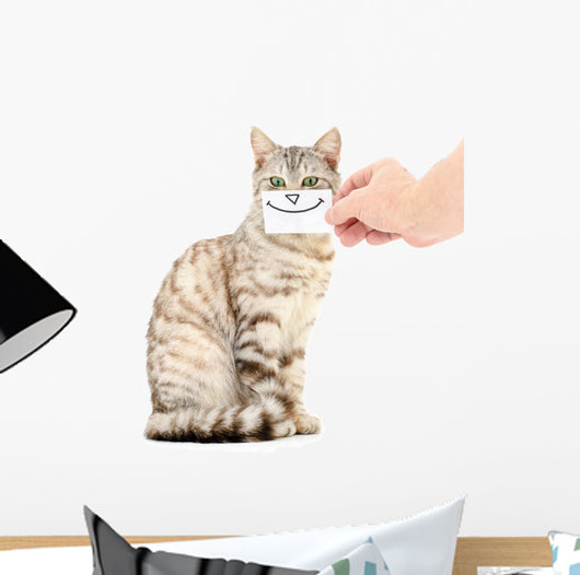 Kitten Smiling Wall Decal
