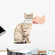 Kitten Smiling Wall Decal