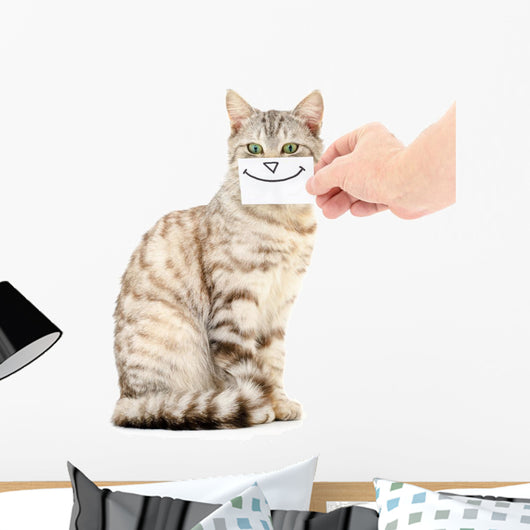Kitten Smiling Wall Decal