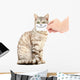 Kitten Smiling Wall Decal
