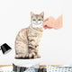 Kitten Smiling Wall Decal