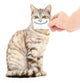 Kitten Smiling Wall Decal