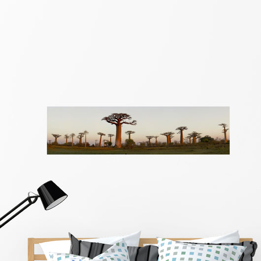 Baobab Alley Madagascar Wall Decal Panoramic Wall Decal