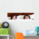 Young Marriage Bed Wall Decal Panoramic Wall Decal