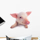 Pig Wall Decal