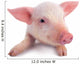 Pig Wall Decal