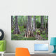 Big Cypress National Preserve Wall Decal