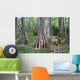 Big Cypress National Preserve Wall Decal