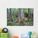 Big Cypress National Preserve Wall Decal