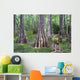 Big Cypress National Preserve Wall Decal