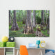 Big Cypress National Preserve Wall Decal