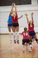 Volleyball Wall Decal Design 6