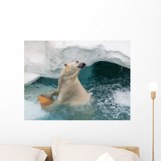 Smart Polar Bear Wall Decal