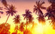 Golden Sunset Nature with Wall Decal