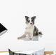 Border Collie Wall Decal