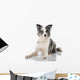 Border Collie Wall Decal