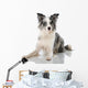 Border Collie Wall Decal