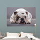 Bulldog Inglese Primo Piano Wall Decal