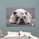 Bulldog Inglese Primo Piano Wall Decal