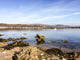 Millport Bay Wall Decal
