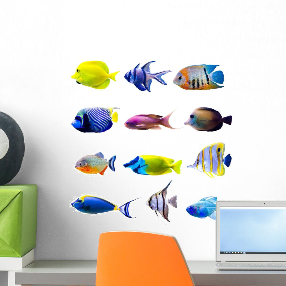 Colorful Tropical Fish Collection Wall Decal Sticker Set - WallMonkeys ...