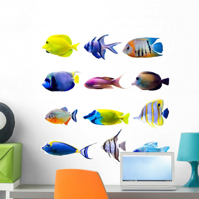 Colorful Tropical Fish Collection Wall Decal Sticker Set shown on a wall