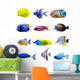Colorful Tropical Fish Collection Wall Decal Sticker Set