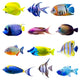 Colorful Tropical Fish Collection Wall Decal Sticker Set